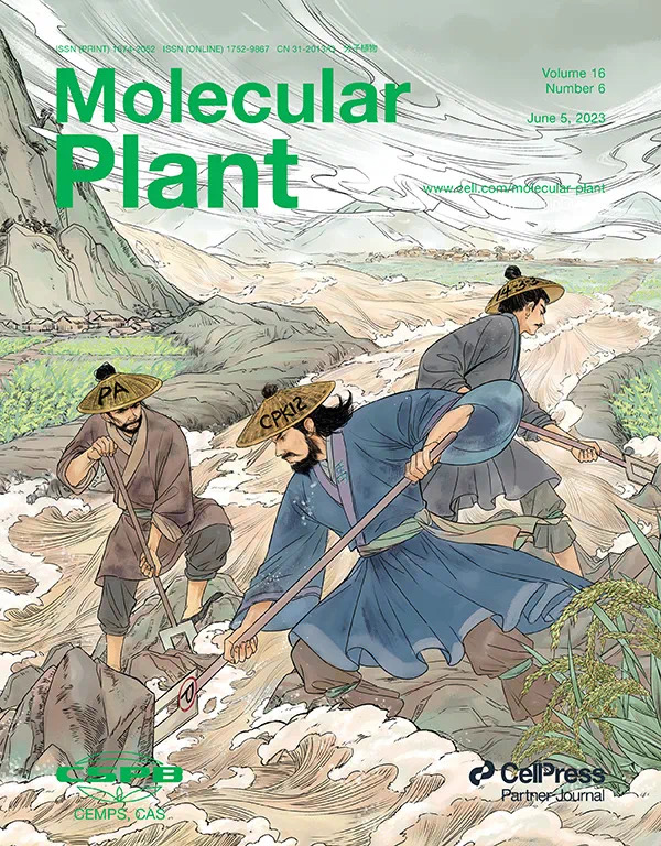 影响因子四度蝉联国内榜首细分领域全球夺冠上海期刊向“高原万里”挺进(图6)