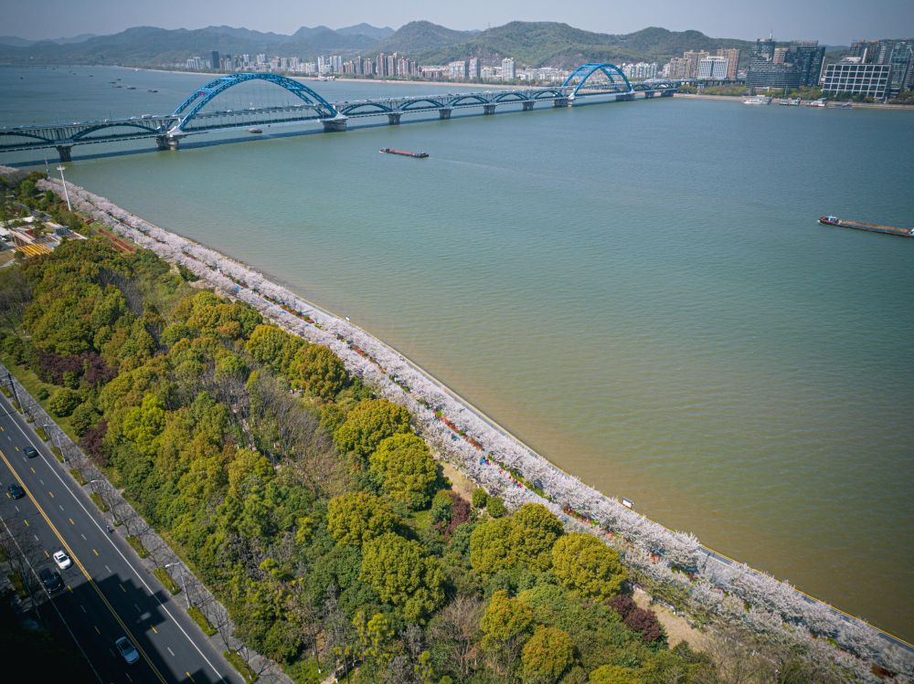 a content(图4)
