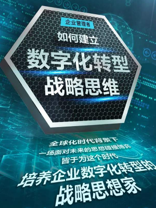 数字化转型咨询