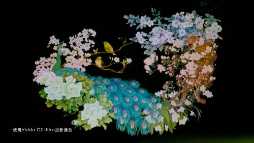 现代技术还原《九歌》！95后用Vidda三色激光投影演绎屈原诗歌
