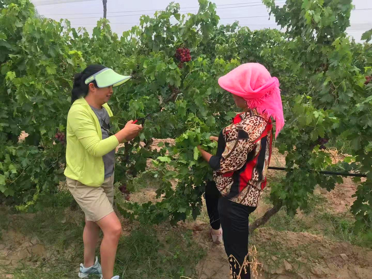 宁夏广播电视台牛嵩琳：总有一道光照亮我-新华网
