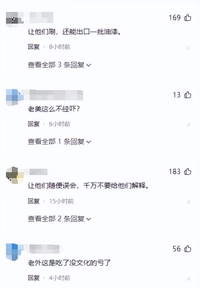 离大谱！美国民众效仿中国人把屋顶涂成蓝色用以屏蔽激光武器！(图10)
